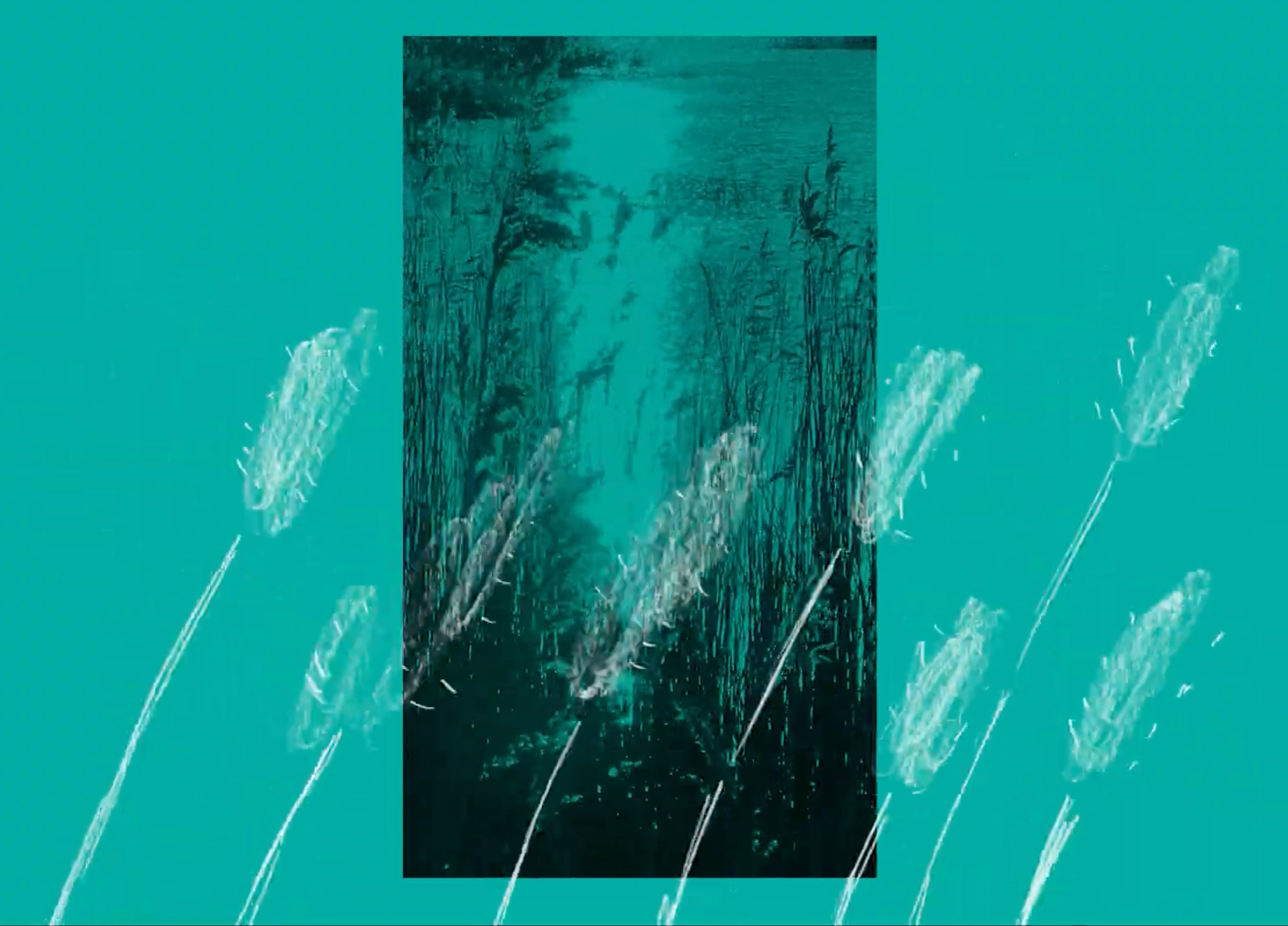 Nature Connection screenshot of wood and white drawings of grass